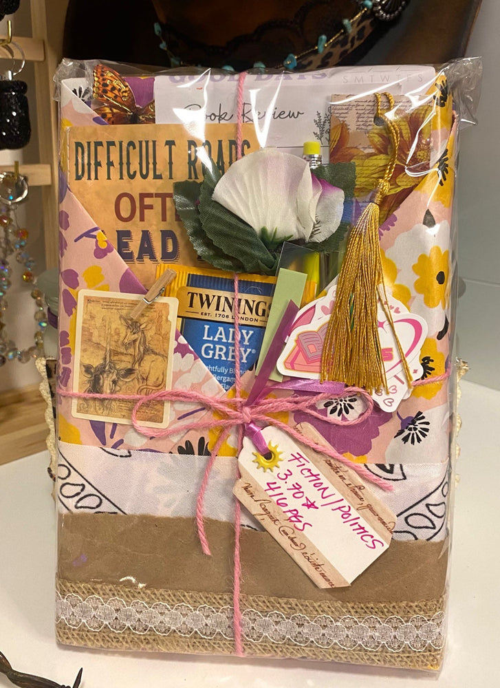 Fiction Politics Book