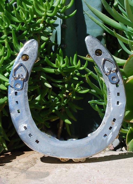Sophisticated Cowgirl Horseshoe - Elusive Cowgirl Boutique